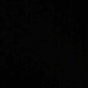 Meet your Posher, Nasima